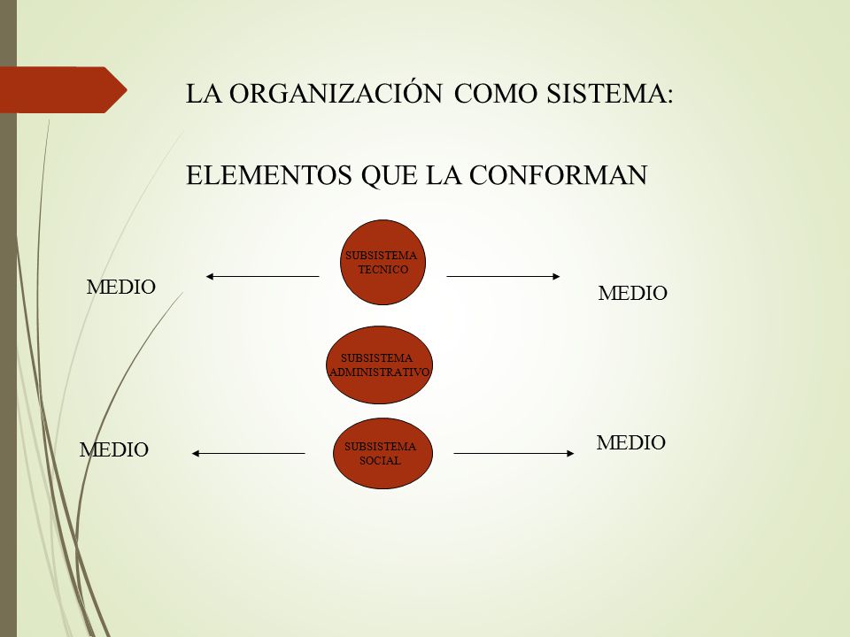LA ORGANIZACIÓN COMO SISTEMA: