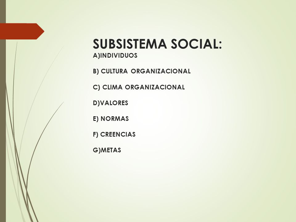 SUBSISTEMA SOCIAL: A)INDIVIDUOS B) CULTURA ORGANIZACIONAL C) CLIMA ORGANIZACIONAL D)VALORES E) NORMAS F) CREENCIAS G)METAS