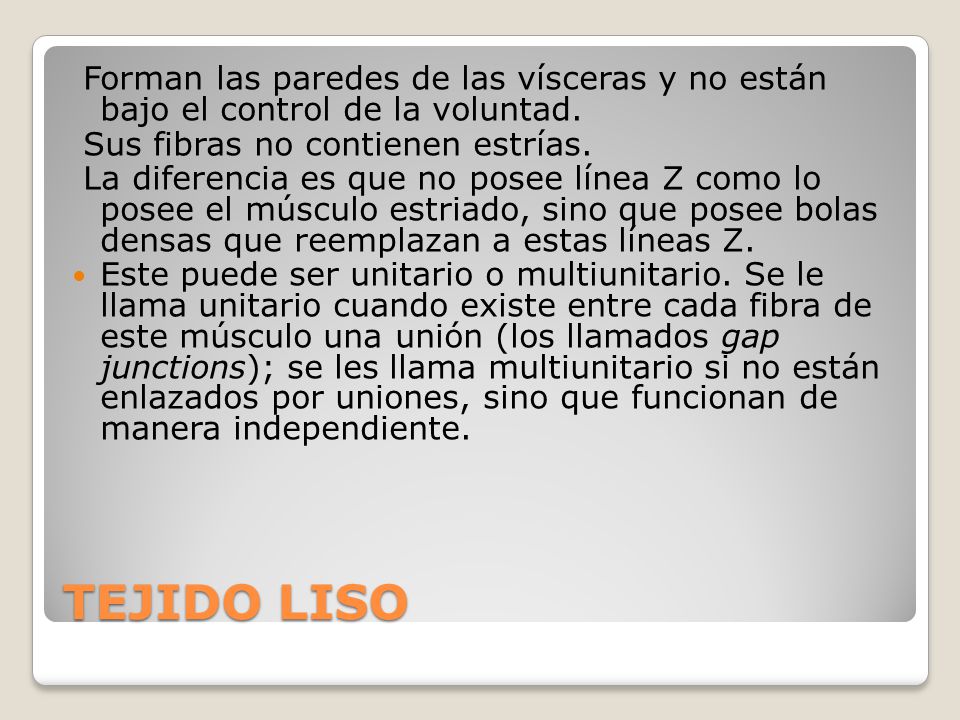 Forman las paredes de las vísceras y no están bajo el control de la voluntad.