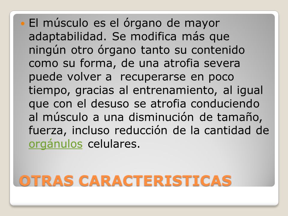 OTRAS CARACTERISTICAS
