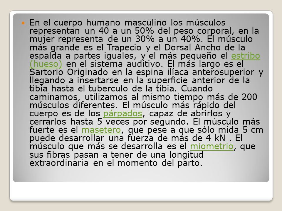 En el cuerpo humano masculino los músculos representan un 40 a un 50% del peso corporal, en la mujer representa de un 30% a un 40%.