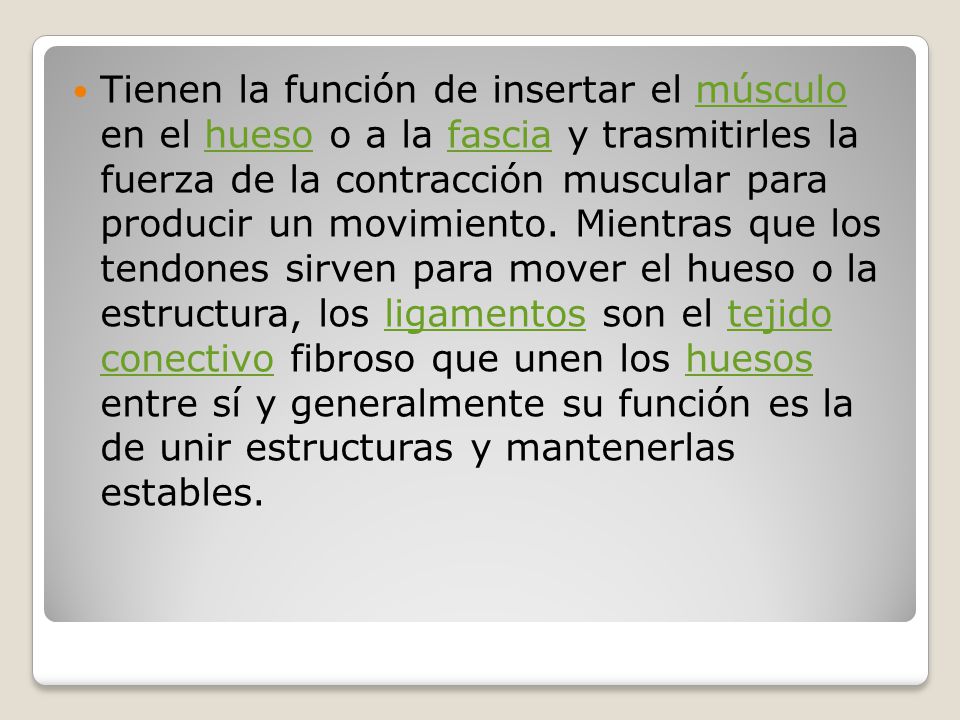 Tienen la función de insertar el músculo en el hueso o a la fascia y trasmitirles la fuerza de la contracción muscular para producir un movimiento.