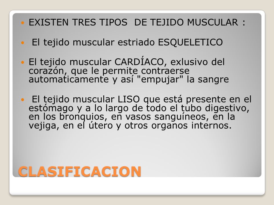 CLASIFICACION EXISTEN TRES TIPOS DE TEJIDO MUSCULAR :