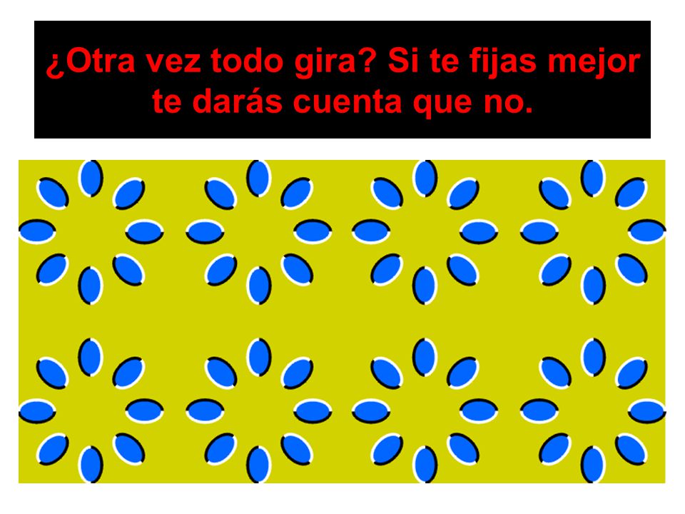 ¿Otra vez todo gira Si te fijas mejor te darás cuenta que no.