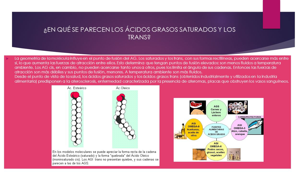 ¿EN QUÉ SE PARECEN LOS ÁCIDOS GRASOS SATURADOS Y LOS TRANS