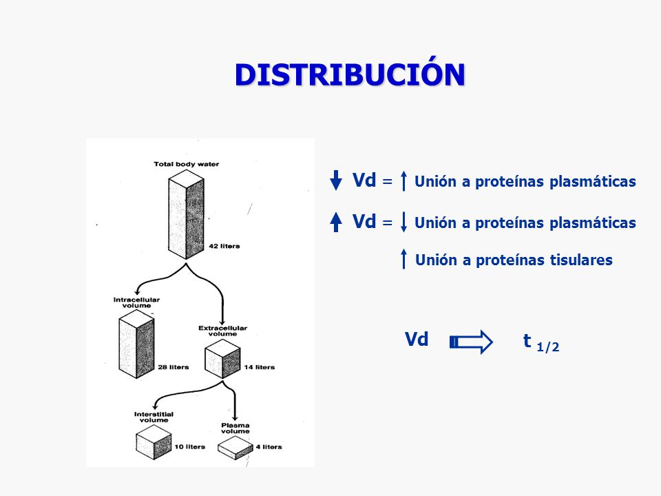 DISTRIBUCIÓN Vd = Unión a proteínas plasmáticas Vd t 1/2