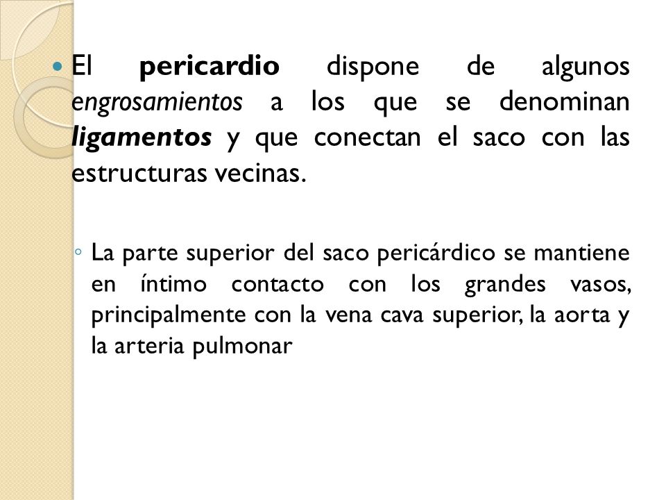 El pericardio dispone de algunos engrosamientos a los que se denominan ligamentos y que conectan el saco con las estructuras vecinas.