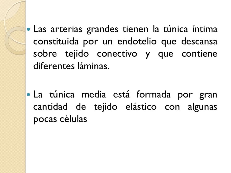 Las arterias grandes tienen la túnica íntima constituida por un endotelio que descansa sobre tejido conectivo y que contiene diferentes láminas.