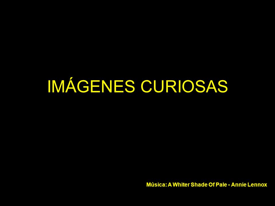 IMÁGENES CURIOSAS Música: A Whiter Shade Of Pale - Annie Lennox