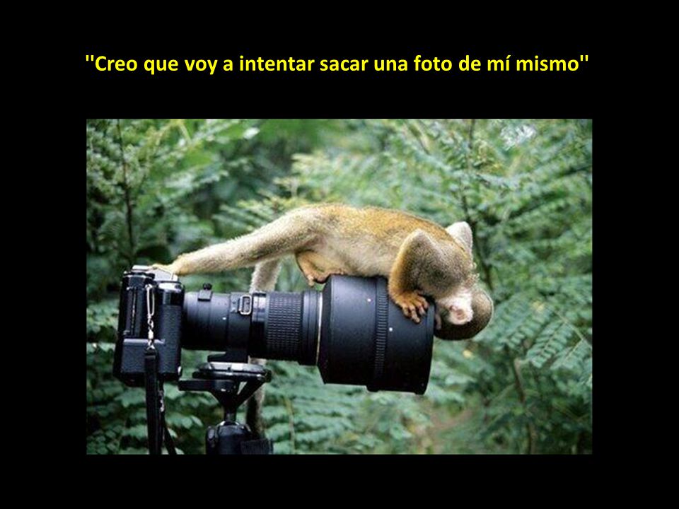 Creo que voy a intentar sacar una foto de mí mismo