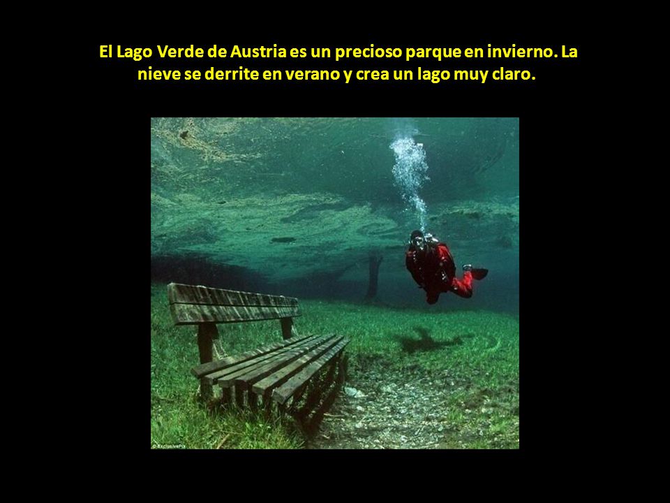 El Lago Verde de Austria es un precioso parque en invierno