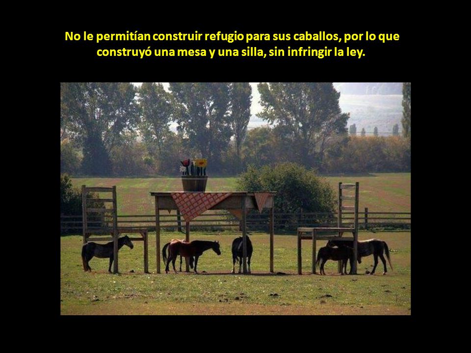 No le permitían construir refugio para sus caballos, por lo que construyó una mesa y una silla, sin infringir la ley.