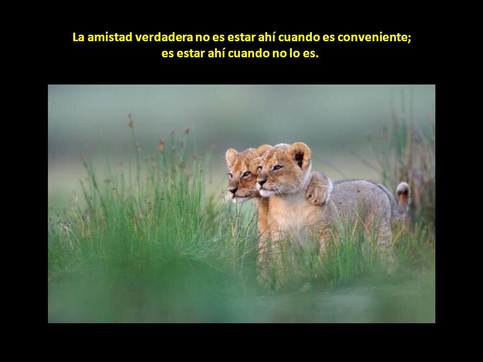 La amistad verdadera no es estar ahí cuando es conveniente; es estar ahí cuando no lo es.