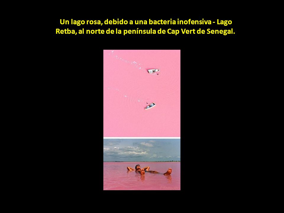 Un lago rosa, debido a una bacteria inofensiva - Lago Retba, al norte de la península de Cap Vert de Senegal.
