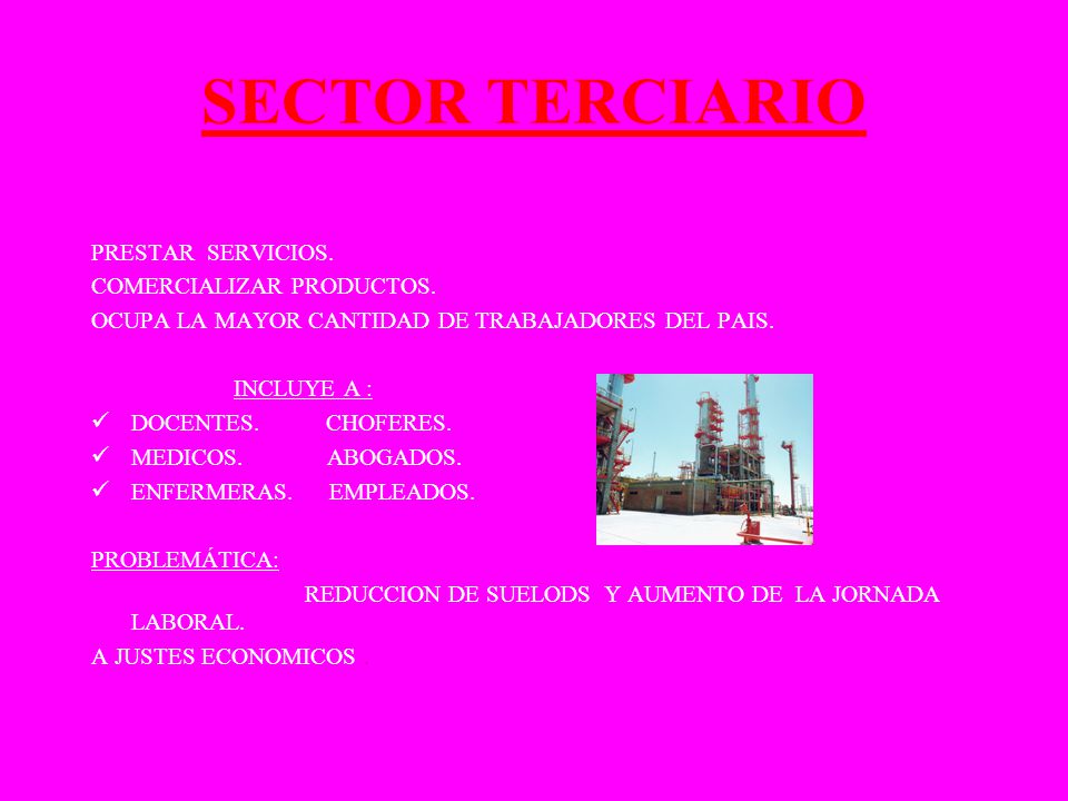 SECTOR TERCIARIO PRESTAR SERVICIOS. COMERCIALIZAR PRODUCTOS.