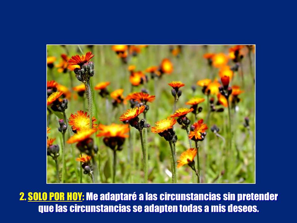2. SOLO POR HOY: Me adaptaré a las circunstancias sin pretender que las circunstancias se adapten todas a mis deseos.