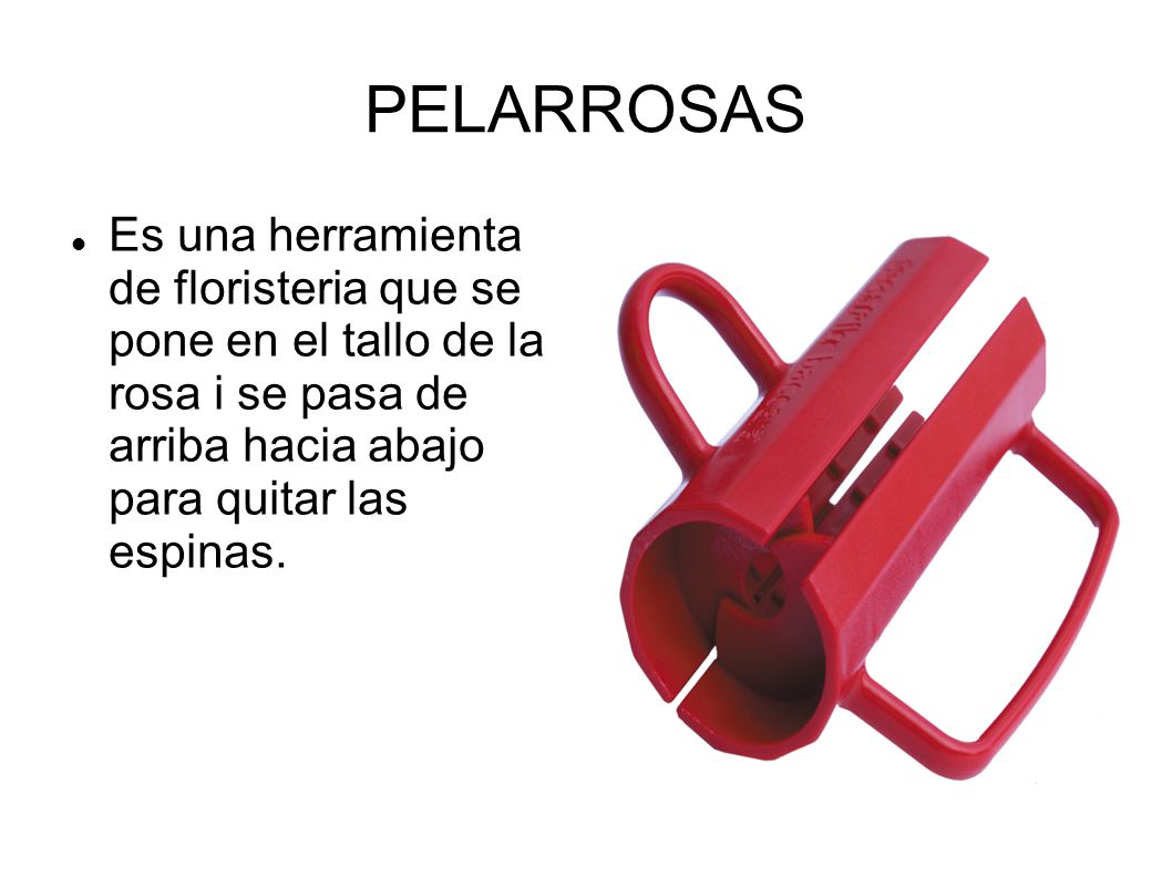PELARROSAS Es una herramienta de floristeria que se pone en el tallo de la rosa i se pasa de arriba hacia abajo para quitar las espinas.