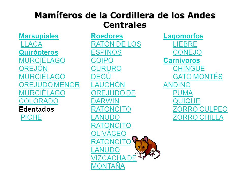Mamíferos de la Cordillera de los Andes Centrales