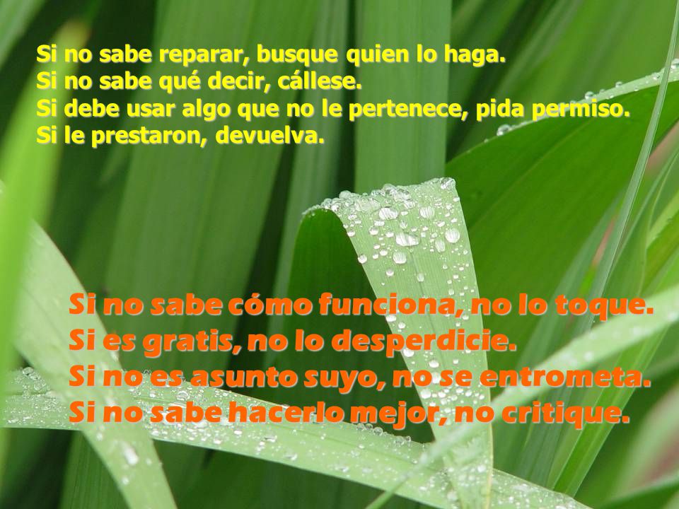 Si no sabe reparar, busque quien lo haga. Si no sabe qué decir, cállese.