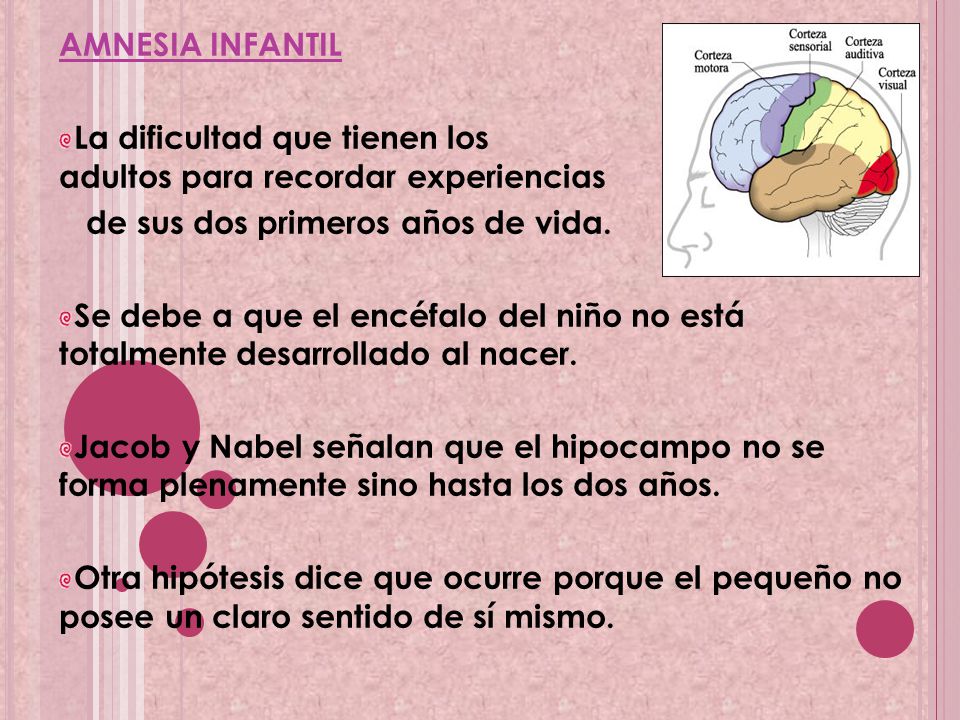 AMNESIA INFANTIL La dificultad que tienen los adultos para recordar experiencias. de sus dos primeros años de vida.