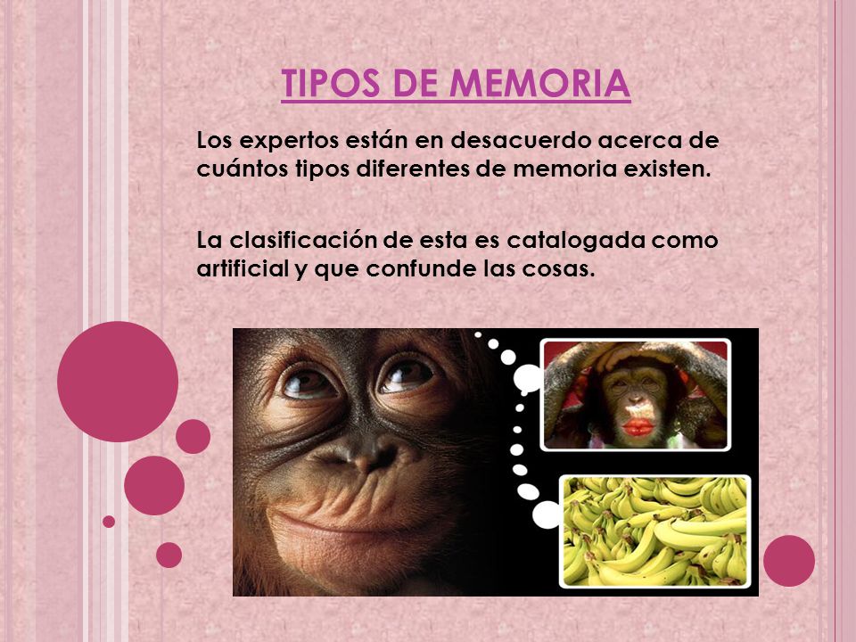 TIPOS DE MEMORIA Los expertos están en desacuerdo acerca de cuántos tipos diferentes de memoria existen.