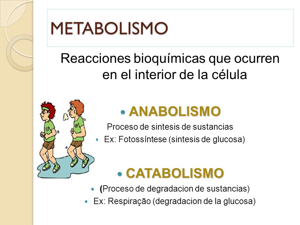METABOLISMO Reacciones bioquímicas que ocurren en el interior de la célula. ANABOLISMO. Proceso de sintesis de sustancias.