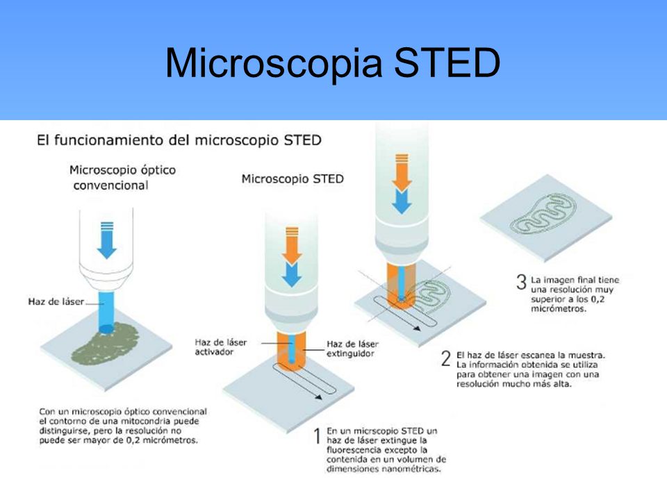 Microscopia STED