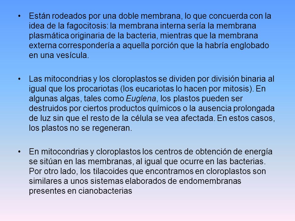 Están rodeados por una doble membrana, lo que concuerda con la idea de la fagocitosis: la membrana interna sería la membrana plasmática originaria de la bacteria, mientras que la membrana externa correspondería a aquella porción que la habría englobado en una vesícula.