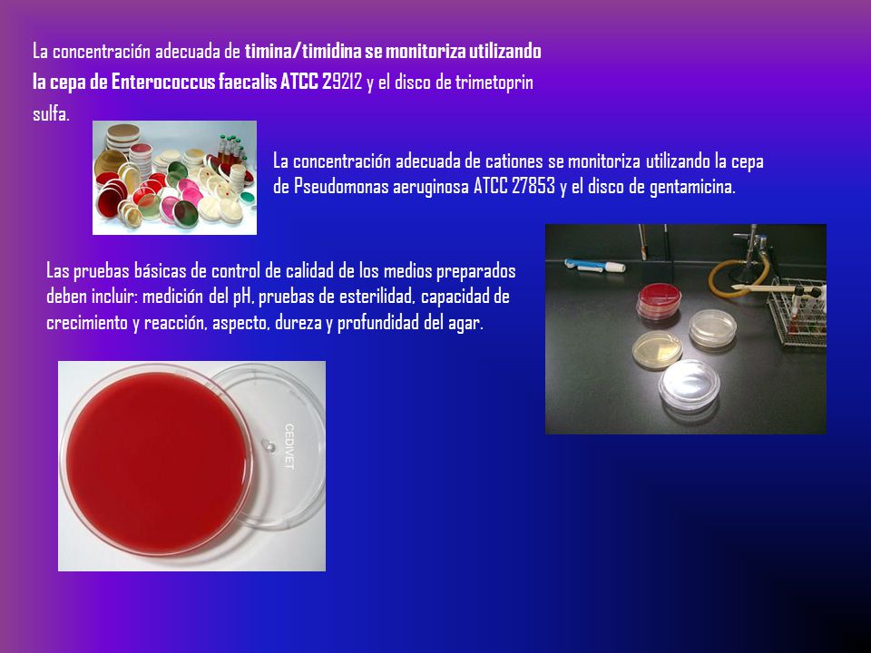 La concentración adecuada de timina/timidina se monitoriza utilizando la cepa de Enterococcus faecalis ATCC y el disco de trimetoprin sulfa.