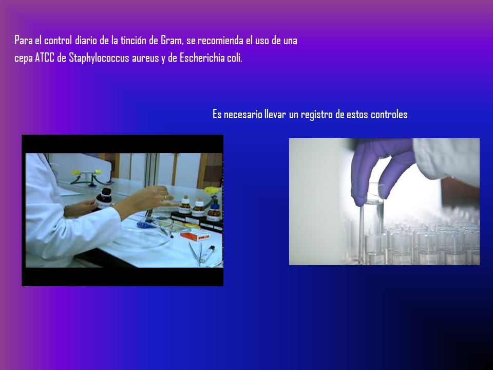 Para el control diario de la tinción de Gram, se recomienda el uso de una cepa ATCC de Staphylococcus aureus y de Escherichia coli.