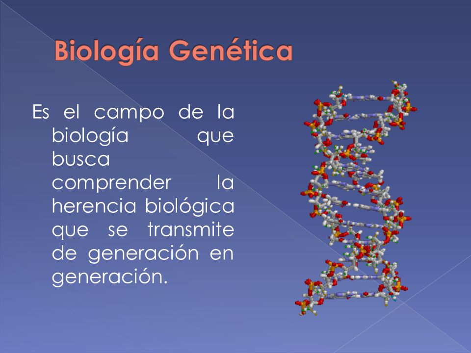 Biología Genética Es el campo de la biología que busca comprender la herencia biológica que se transmite de generación en generación.