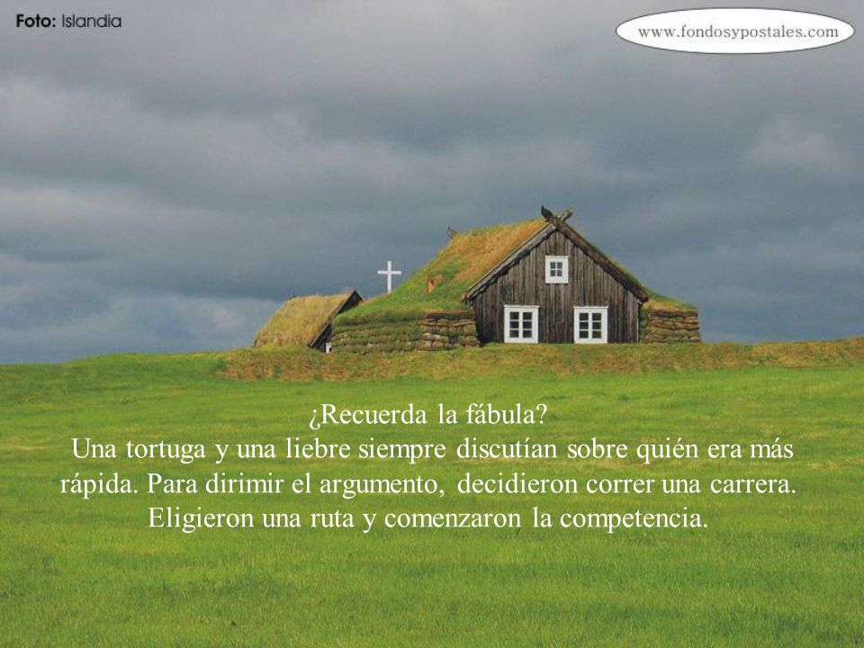 ¿Recuerda la fábula. Una tortuga y una liebre siempre discutían sobre quién era más rápida.