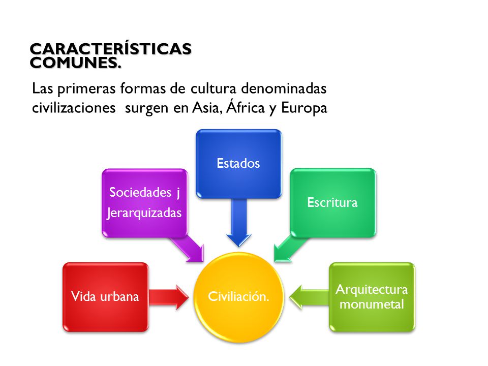 CARACTERÍSTICAS COMUNES.
