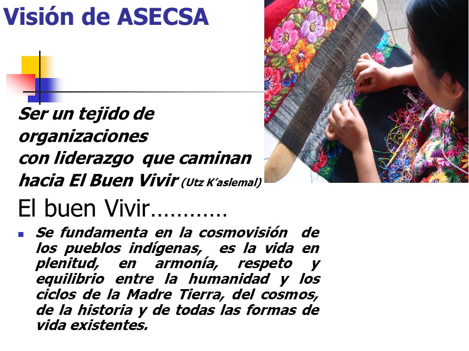 Visión de ASECSA El buen Vivir………… Ser un tejido de organizaciones