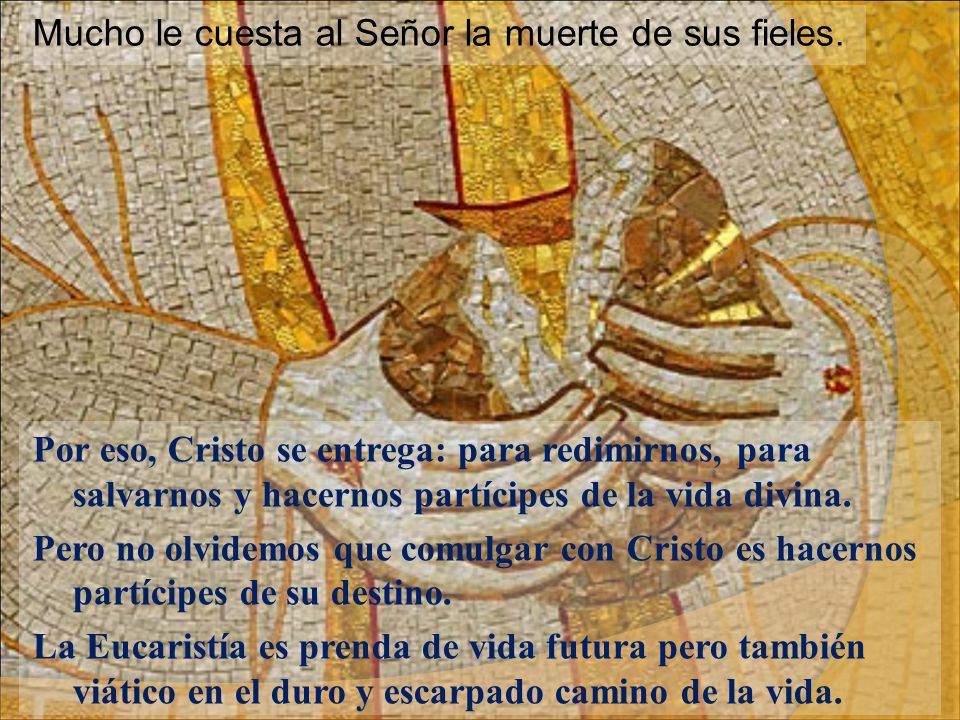Mucho le cuesta al Señor la muerte de sus fieles.