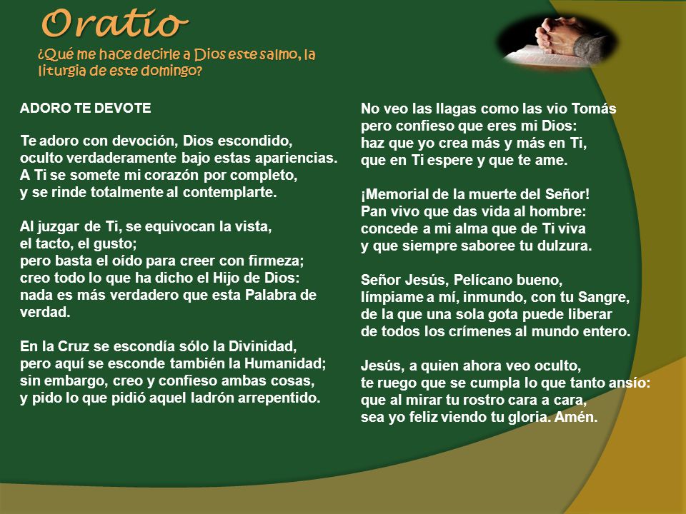 Oratio ¿Qué me hace decirle a Dios este salmo, la liturgia de este domingo