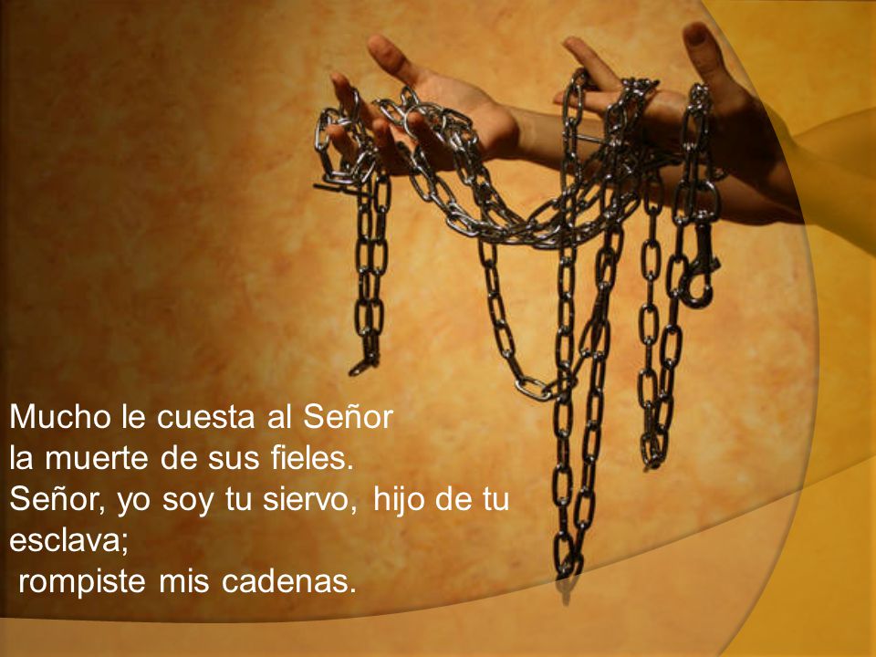 Mucho le cuesta al Señor la muerte de sus fieles