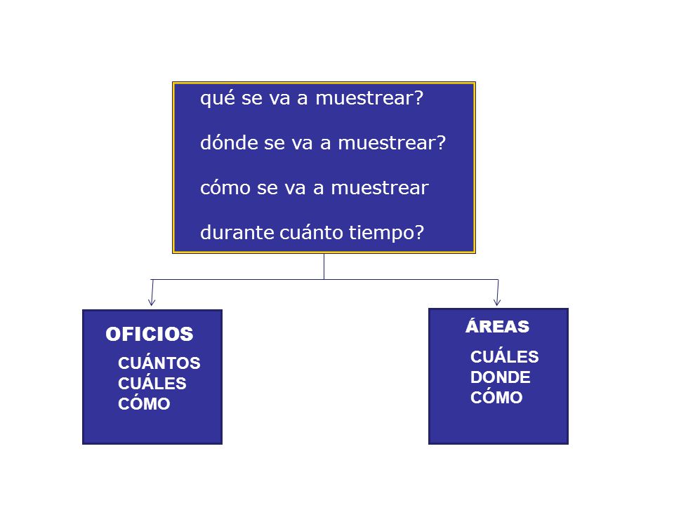 qué se va a muestrear dónde se va a muestrear cómo se va a muestrear