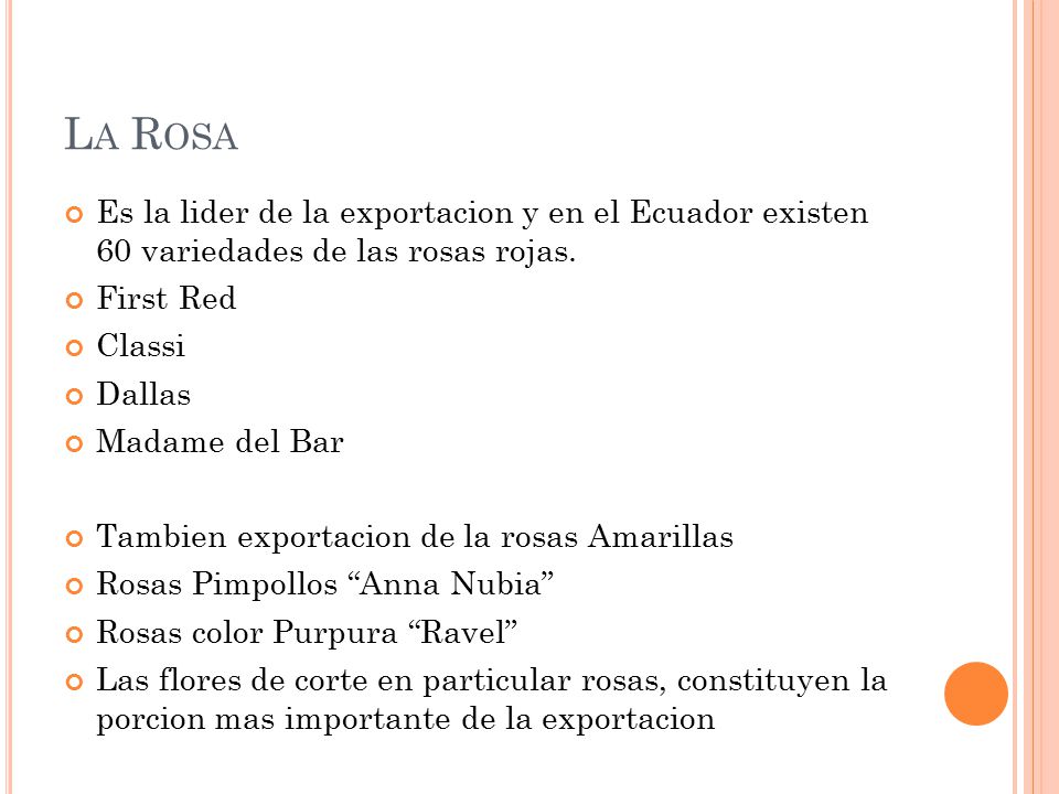 La Rosa Es la lider de la exportacion y en el Ecuador existen 60 variedades de las rosas rojas. First Red.