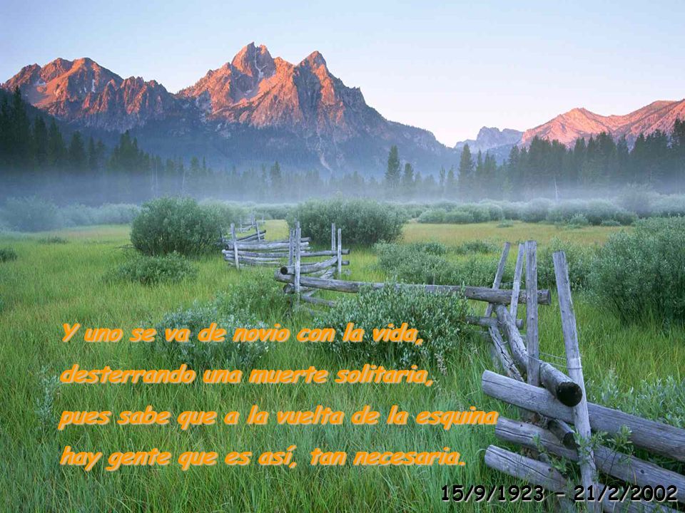 Y uno se va de novio con la vida, desterrando una muerte solitaria,