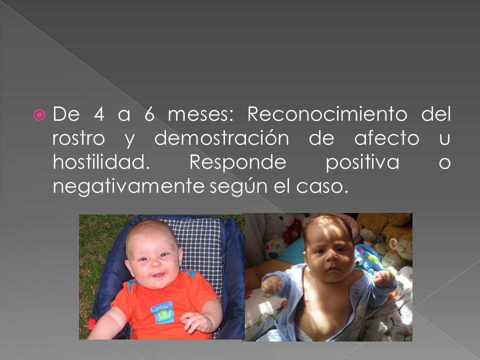 De 4 a 6 meses: Reconocimiento del rostro y demostración de afecto u hostilidad.