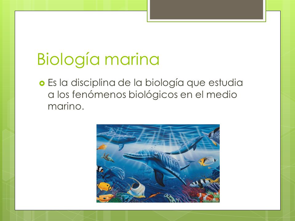 Biología marina Es la disciplina de la biología que estudia a los fenómenos biológicos en el medio marino.