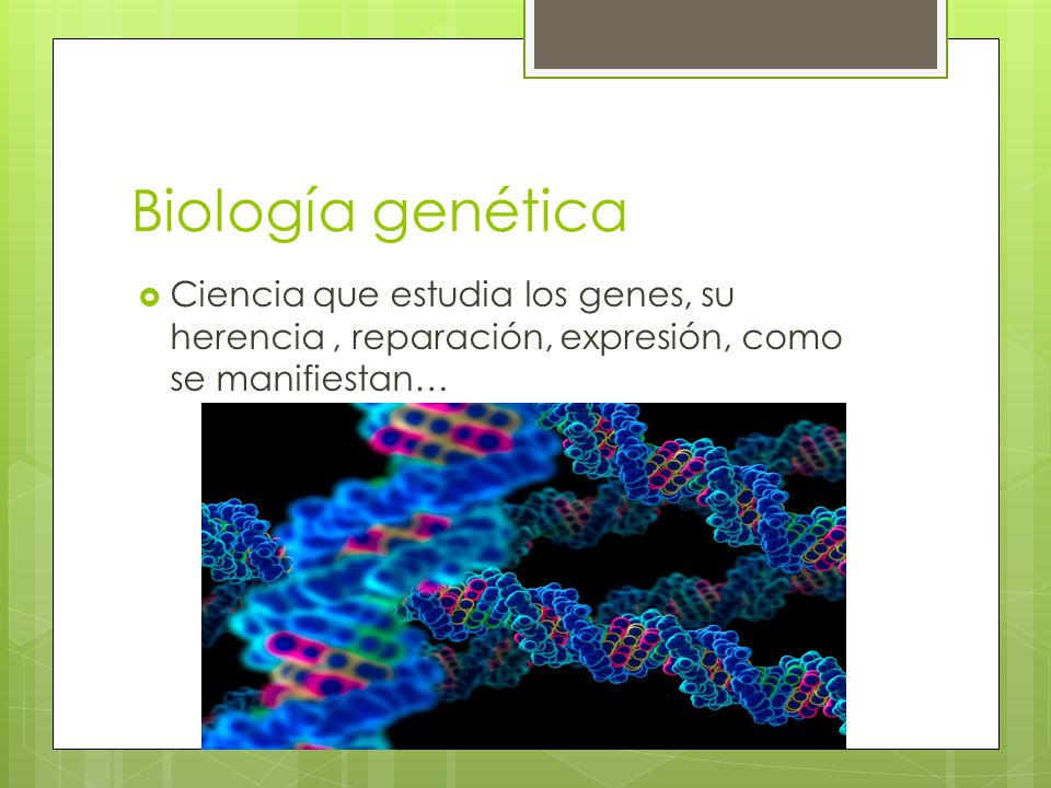 Biología genética Ciencia que estudia los genes, su herencia , reparación, expresión, como se manifiestan…
