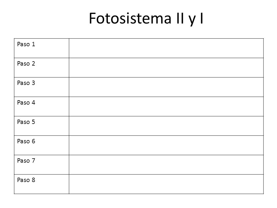 Fotosistema II y I Paso 1 Paso 2 Paso 3 Paso 4 Paso 5 Paso 6 Paso 7
