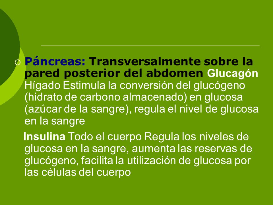 Páncreas: Transversalmente sobre la pared posterior del abdomen Glucagón Hígado Estimula la conversión del glucógeno (hidrato de carbono almacenado) en glucosa (azúcar de la sangre), regula el nivel de glucosa en la sangre