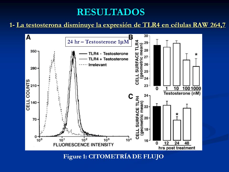 RESULTADOS 1- La testosterona disminuye la expresión de TLR4 en células RAW 264,7. 24 hr – Testosterone 1M.
