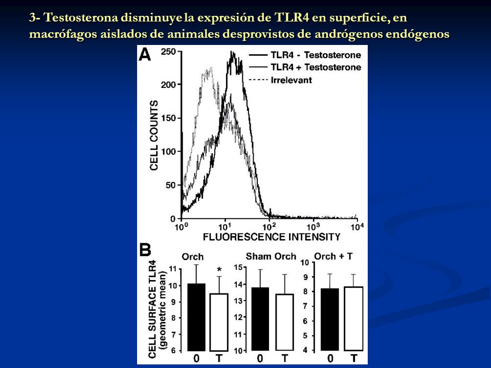 3- Testosterona disminuye la expresión de TLR4 en superficie, en macrófagos aislados de animales desprovistos de andrógenos endógenos