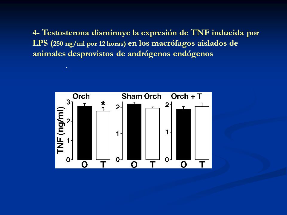 4- Testosterona disminuye la expresión de TNF inducida por
