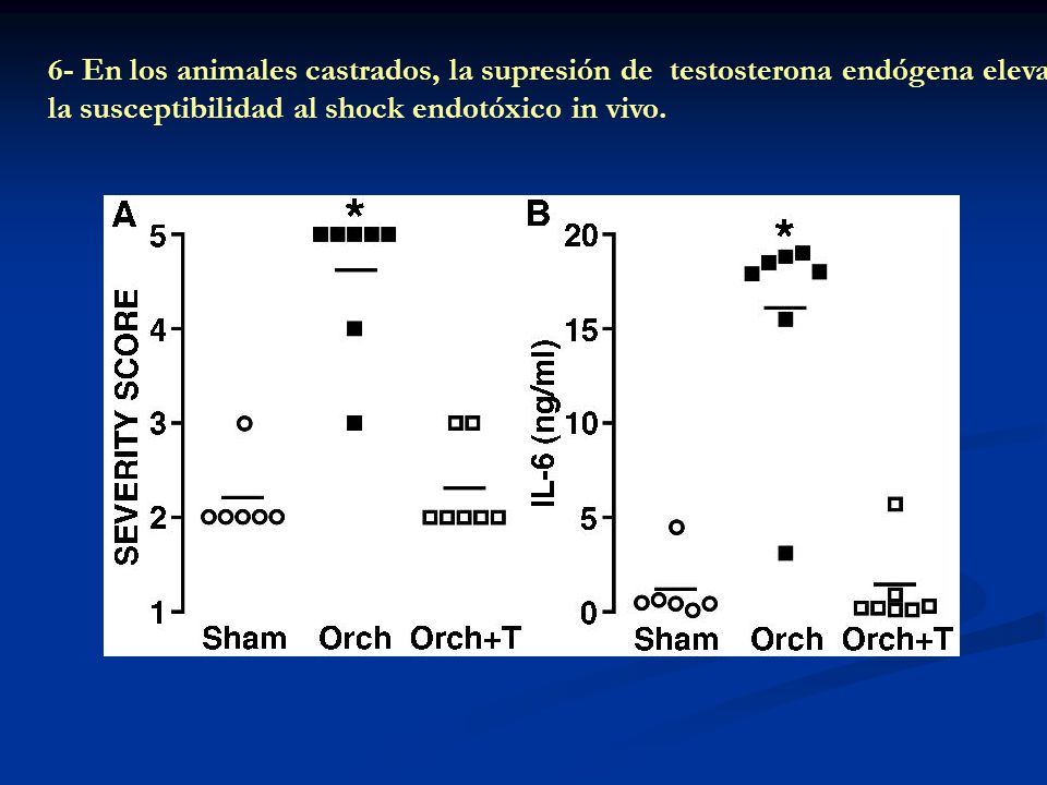 6- En los animales castrados, la supresión de testosterona endógena eleva