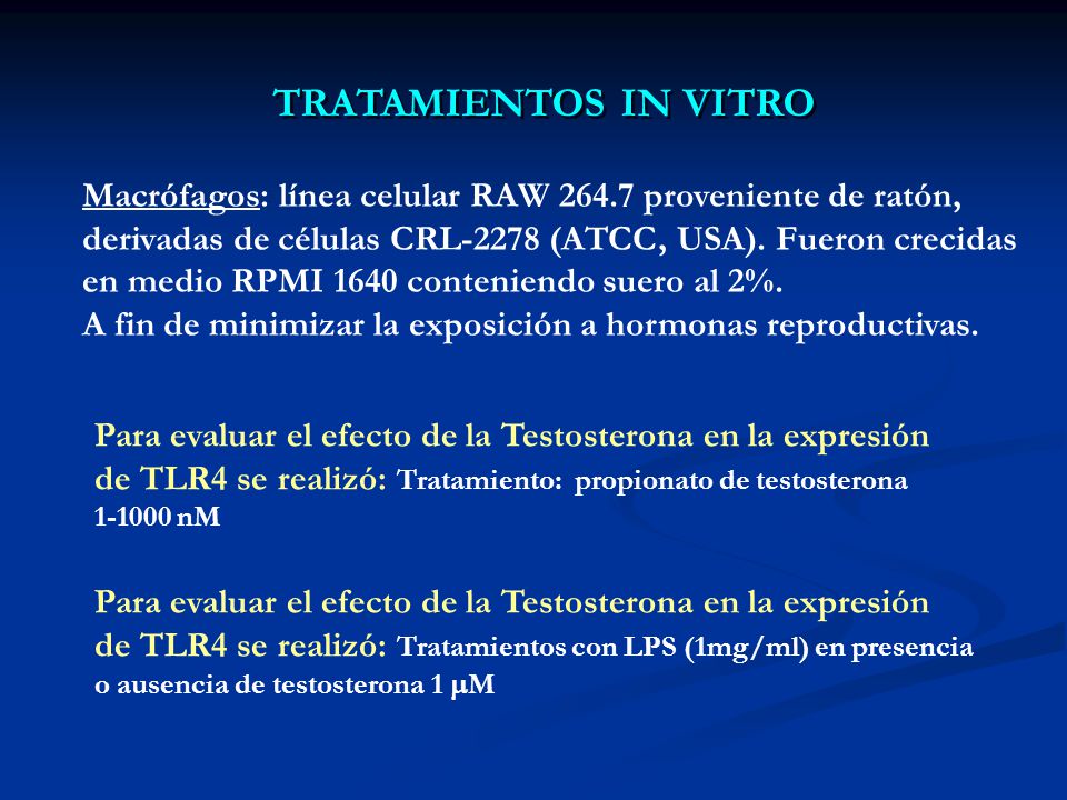 TRATAMIENTOS IN VITRO Macrófagos: línea celular RAW proveniente de ratón, derivadas de células CRL-2278 (ATCC, USA). Fueron crecidas.